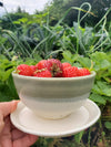 Berry Bowl - shadow gray