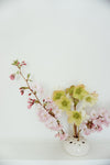Ikebana Flower Bowl - MMP x NN